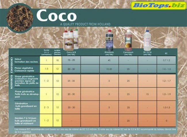 Plan de culture Coco - Canna