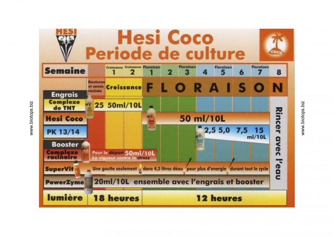 Plan de culture Coco - Hesi