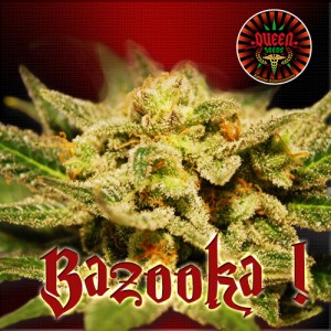 bazooka-bl