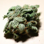 guidecannabis