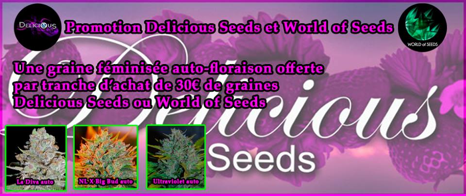 delicious seeds