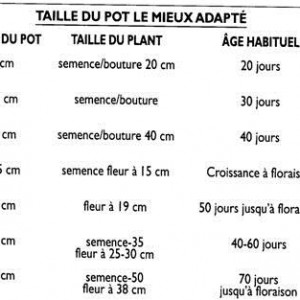 Pot pour one bud recap