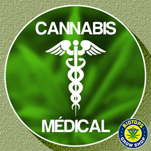 cannabis médical 