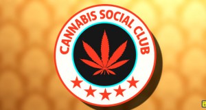 Cannabis Social Clubs