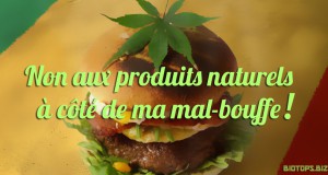 un dispensaire de cannabis à côté d’un fast-food