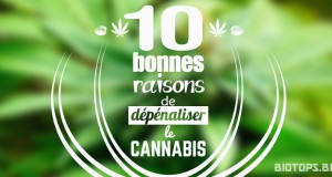 10 bonnes raisons de legaliser le cannabis