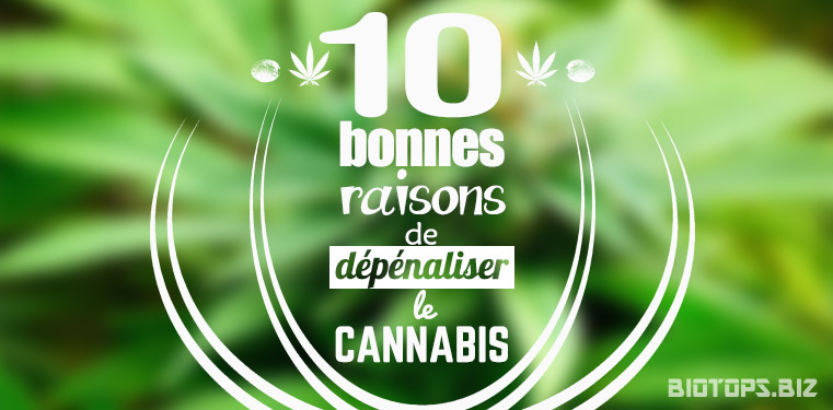 10 bonnes raisons de legaliser le cannabis