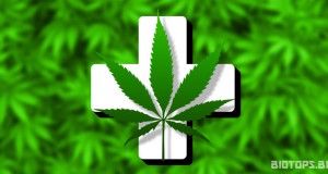 Propagande anti-cannabis médicinal