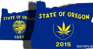 l’Oregon légalise la consomation de cannabis