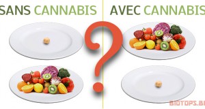 Le cannabis et les troubles de l'alimentation