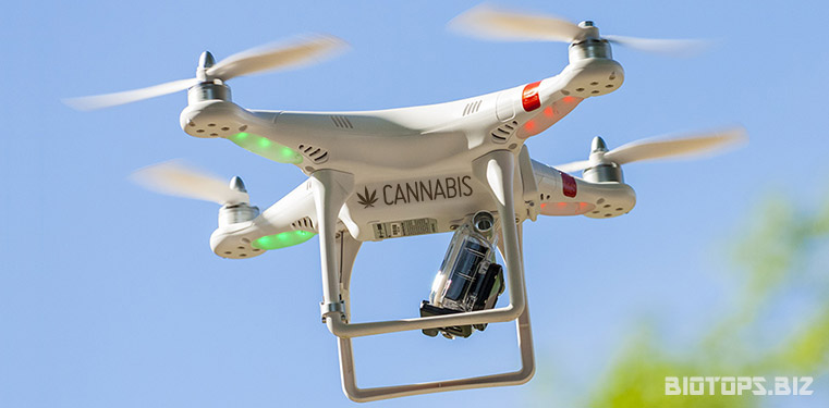 Livraison de cannabis par drone