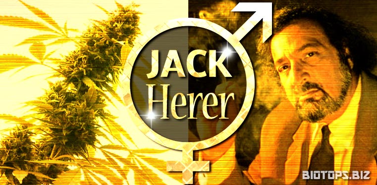 jack-herer-graine-reguliere