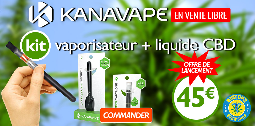 Kanavape kit vaporisateur + liquide 45 € seulement