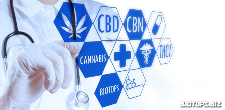 Cannabis : l'avenir de la médecine