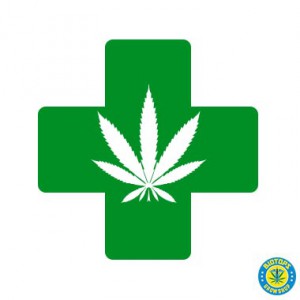 Cannabis médicinal