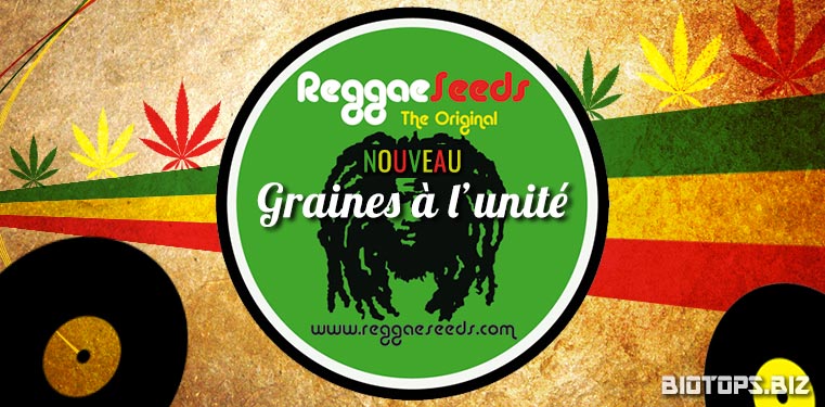 Reggae Seeds : graines de cannabis à l'unité