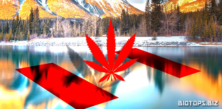 Légalisation du cannabis au Canada