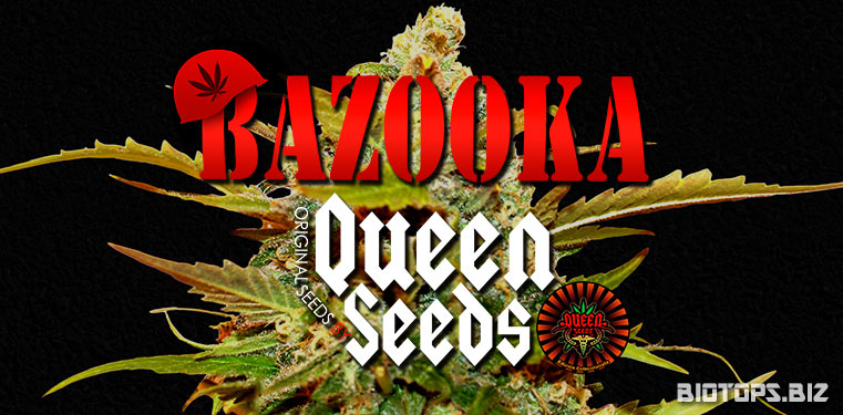 la bazooka est en vente chez queen-seeds.fr