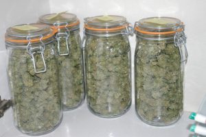 Séchage et conservation du cannabis de divers manières