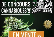 info cannabique de la semaine