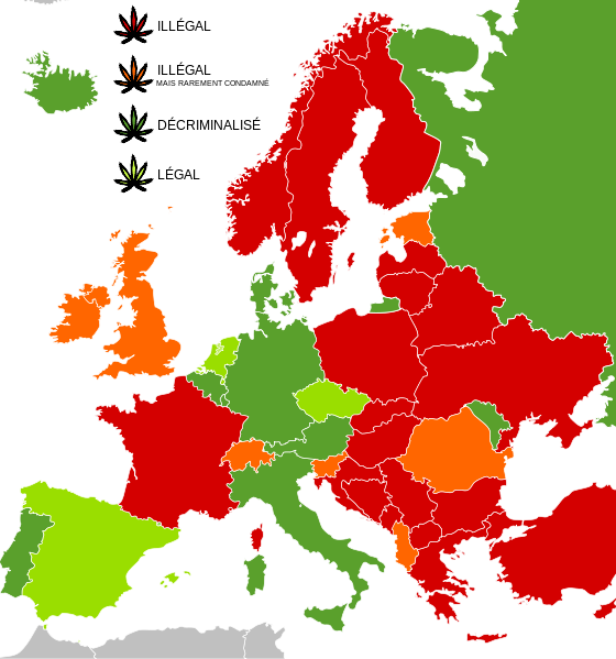 Le cannabis autorisé, ce que ça change pour les pays concernés