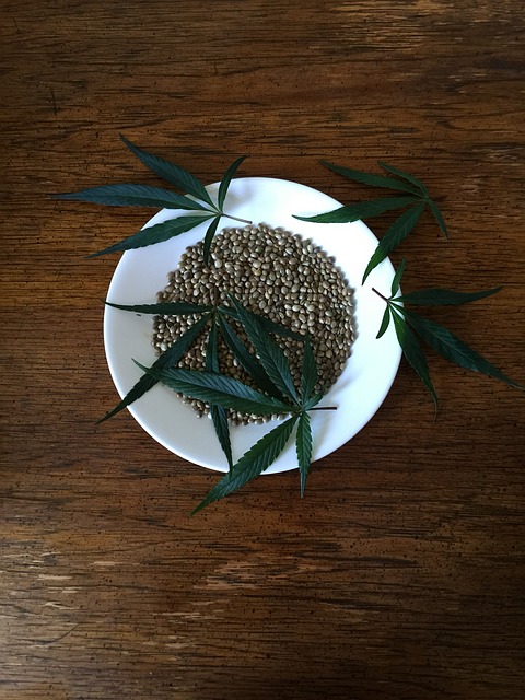 Voici Comment faire des graines de cannabis avec blog.biotops.biz