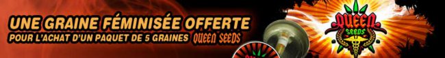 acheter des graines de cannabis queen-seeds