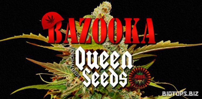 commander des graines de cannabis  chez Queen-Seeds
