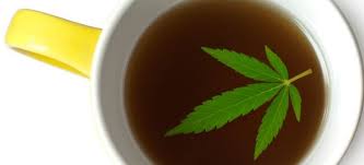 thé au cannabis