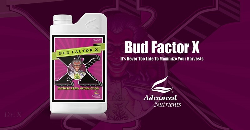 bud factor x