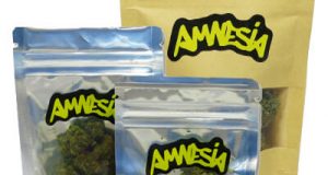 cbd-amnesia