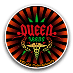 queen-seeds