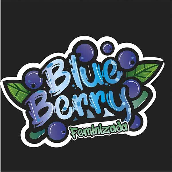 Blue Berry